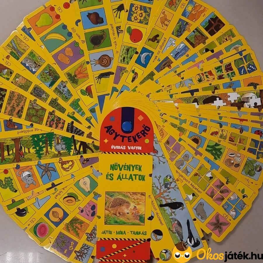 Agytekerő játékok