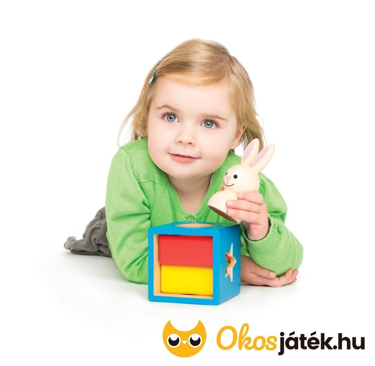 Smart Games Bunny Boo