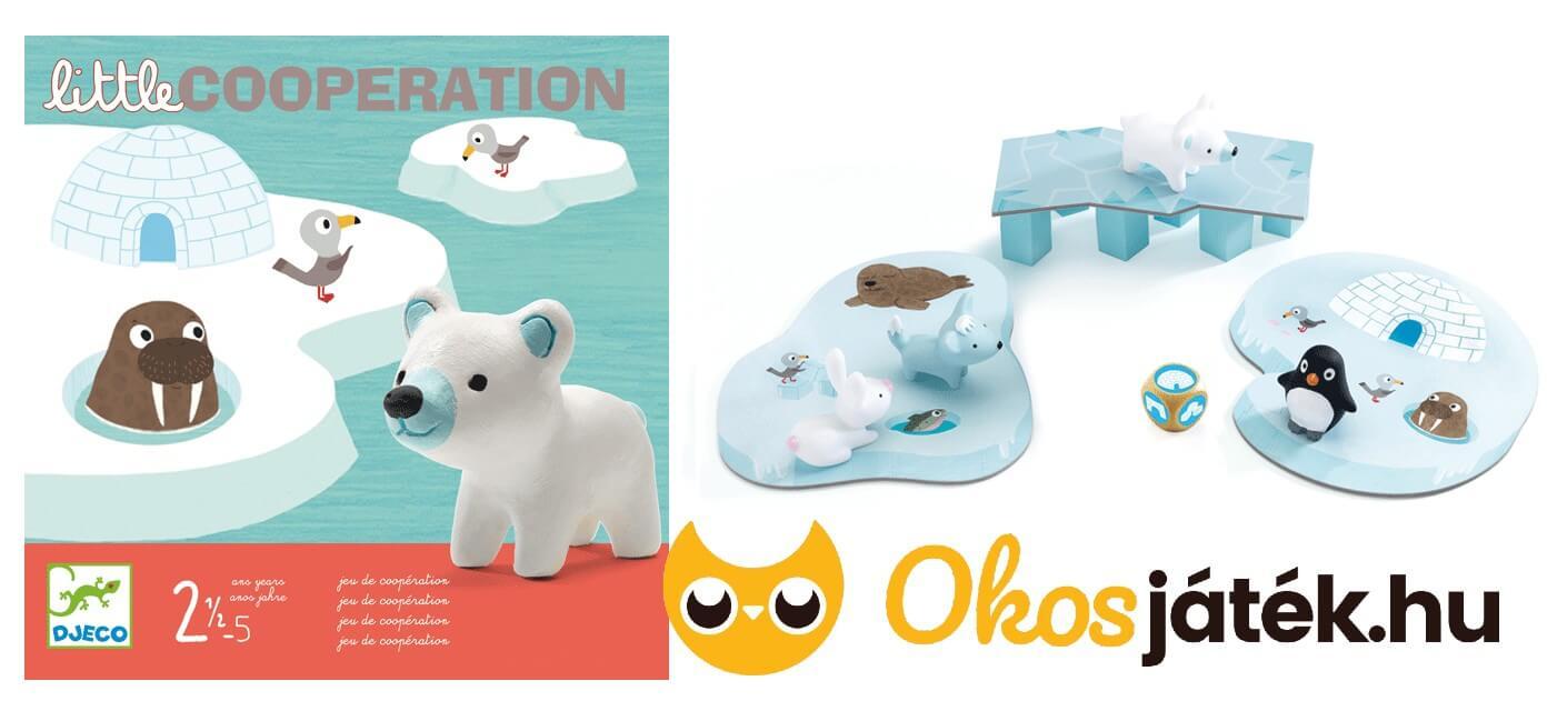 Little cooperation - kooperatív társasjáték Djeco