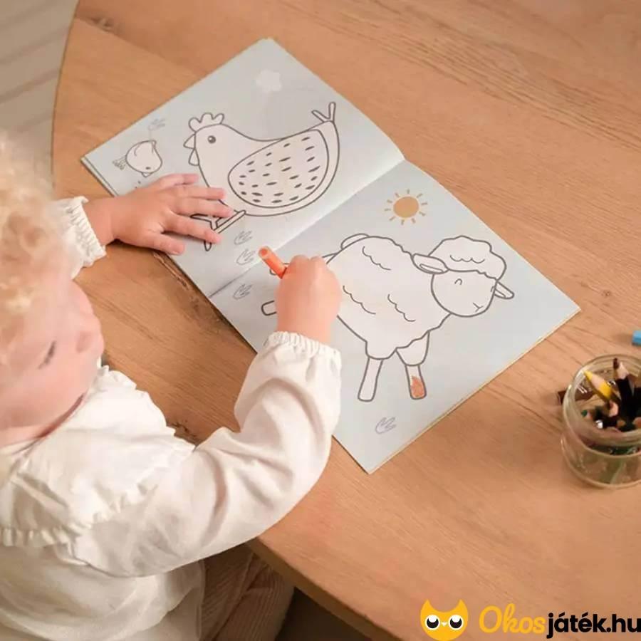 Little Dutch kifestő füzet - Little Farm