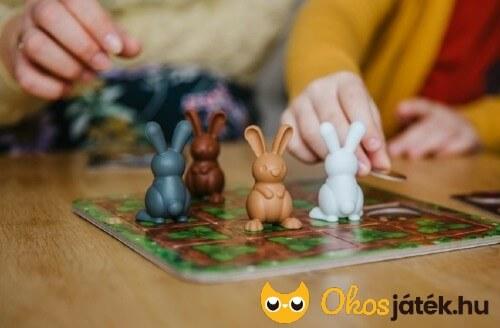 Smart Games Nyúlpiknik társasjáték
