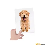 Kép 3/4 - Érintsd meg és párosíts! állatos kártya