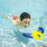 Kép 3/3 - Zoom-a-Ray merülő rája játék medencébe 