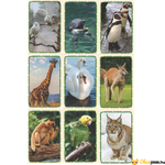 Kép 2/4 - Lenyűgöző állatvilág kártyák