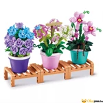 Kép 8/9 - Kaspós növények - Zuru Max