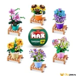 Kép 1/9 - Zuru max Cserepes Növény - Garden Collections többféle