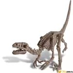 Kép 2/4 - Velociraptor csontváz