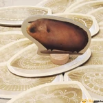 Kép 3/5 - Piggily társasjáték tengerimalaca 