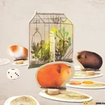 Kép 5/5 - Piggily tengerimalacos társasjáték