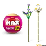 Kép 4/5 - Max - Közönséges margaréta és levendula