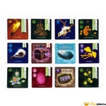 Kép 6/7 - Alkonyat társasjáték kártyái