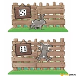 Kép 5/8 - Nyuszinasi