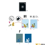 Kép 2/2 - Papírok a Djeco Cianotípia technikához