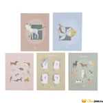 Kép 9/9 - Állatorvosi szett röntgen képei és utasításai