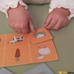 Kép 2/5 - Képpárosító játék