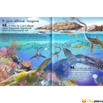 Kép 2/3 - Könyv a dinoszauruszokról