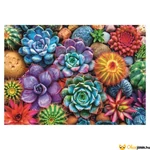 Kép 2/2 - Kövirózsás 1000 db-os Trefl puzzle