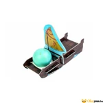 Kép 3/5 - Dodó tojás