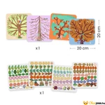 Kép 5/5 - Kollázs műhely - Évszakokon át készlet tartalma