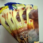 Kép 4/4 - Capybara könyvjelző