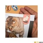 Kép 3/3 - Cicás könyvjelző szett