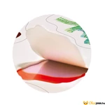 Kép 4/5 - Újraragasztható dínós matrica