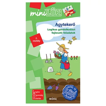 Agytekerő - Logikus gondolkodás fejlesztése 2. osztály
