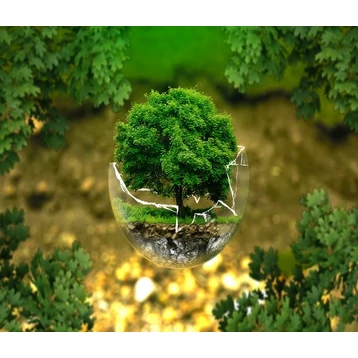 Top 20 környezetbarát játék