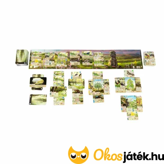 Dartmoor társasjáték kártyák