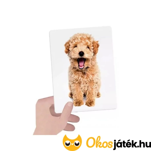 Érintsd meg és párosíts! állatos kártya