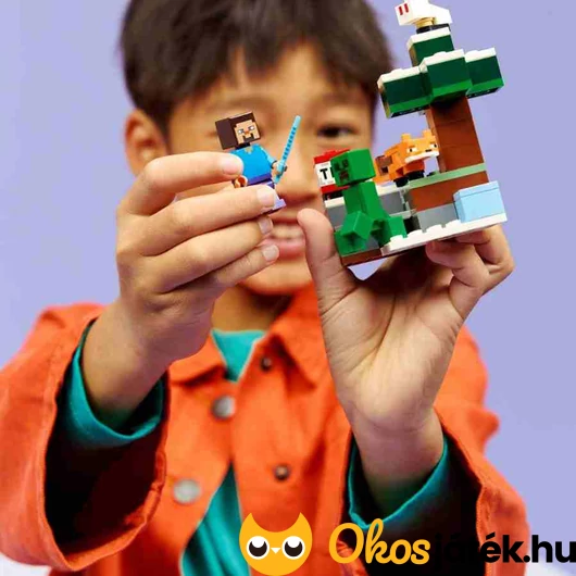 LEGO Minecraft Steve kalandjai