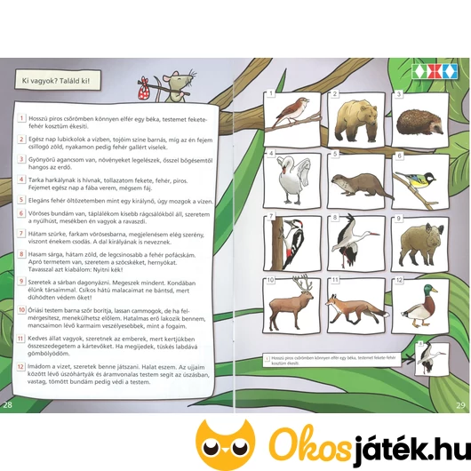 ldi 252 környezetünk titkai 2. osztály