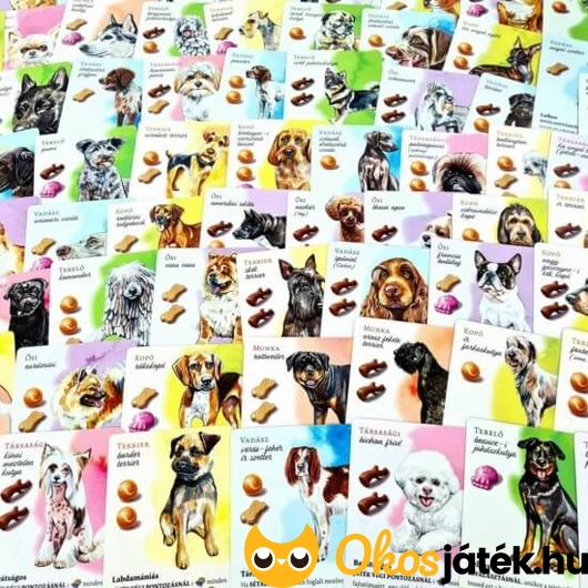 Kutyapark társasjáték 163 kutyakártyával