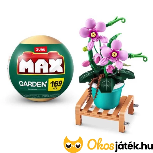 Orchidea cserepes növény