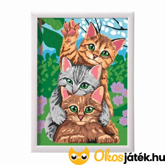 Cicás kifestő képkerettel