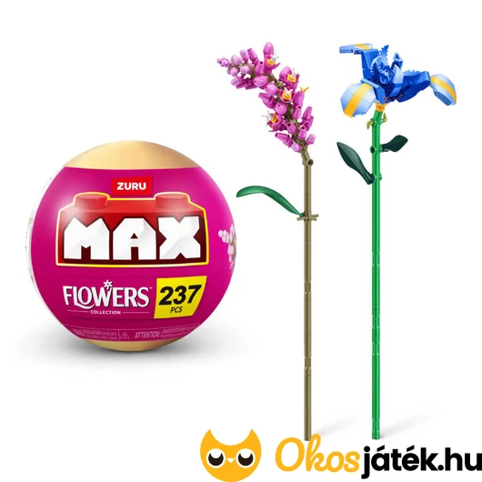 Max - Irisz és őszirózsa