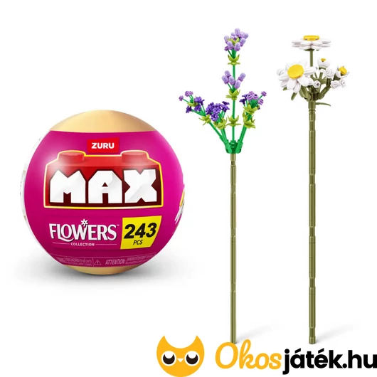 Max - Közönséges margaréta és levendula