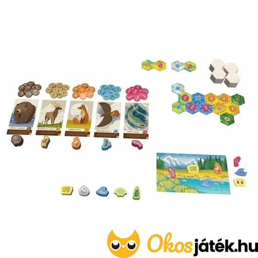 Cascadia Junior társasjáték játéktere