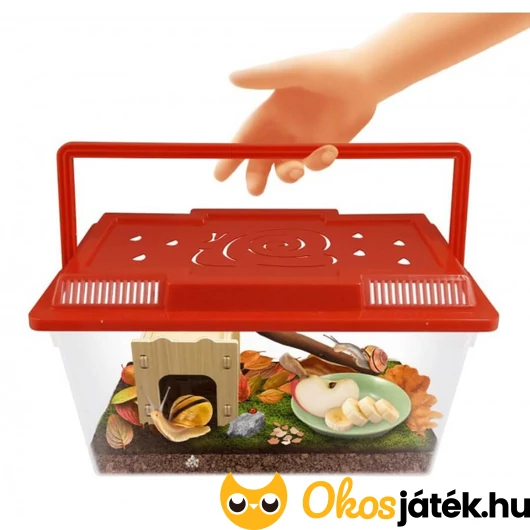 Buki csiga terrárium 