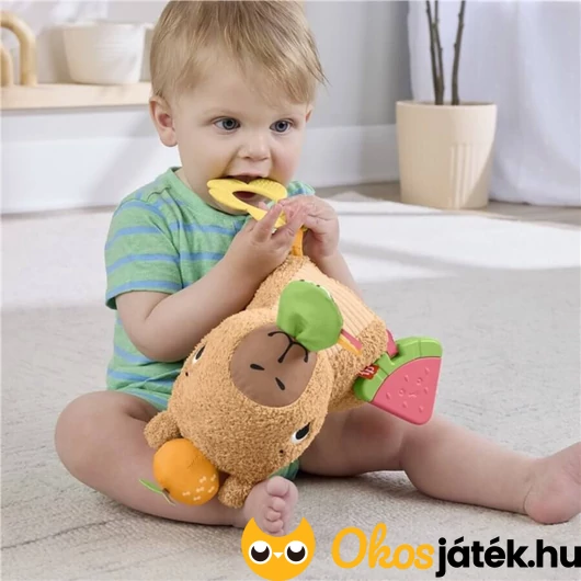 Kapibara rágókával