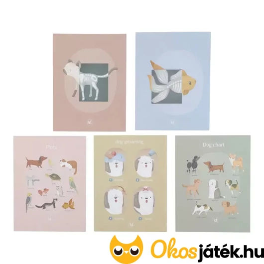 Állatorvosi szett röntgen képei és utasításai