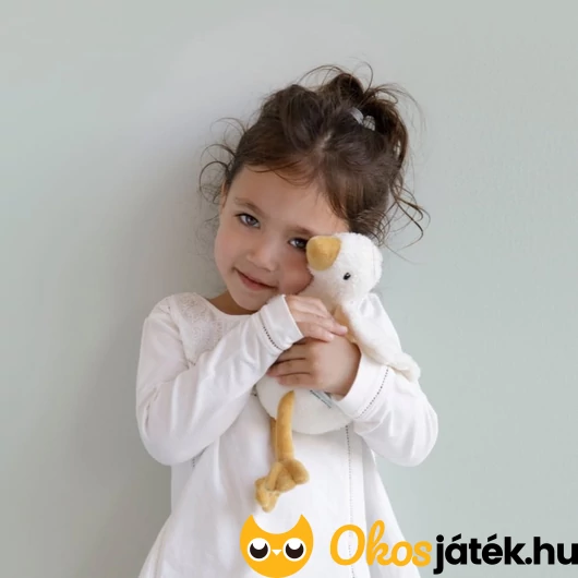 Little Dutch gúnár