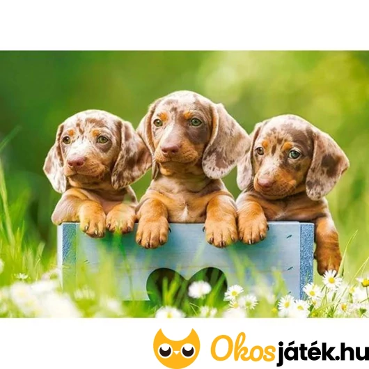 Tacskós kirakó