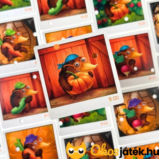 Kerti rejtély gyanúsítottkártyák