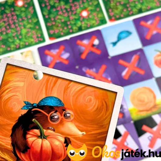 Kerti rejtély társasjáték kártyák
