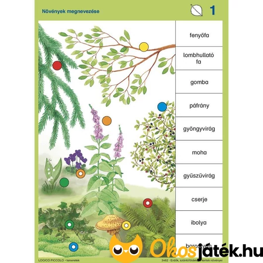 Logico Piccolo környezetismeret füzet