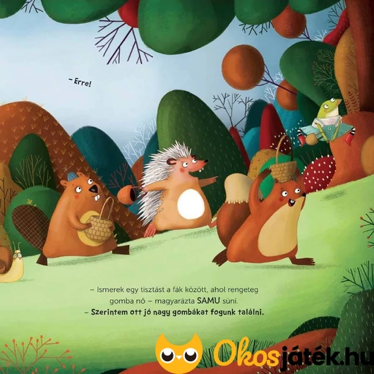 Érzelmek erdeje könyv