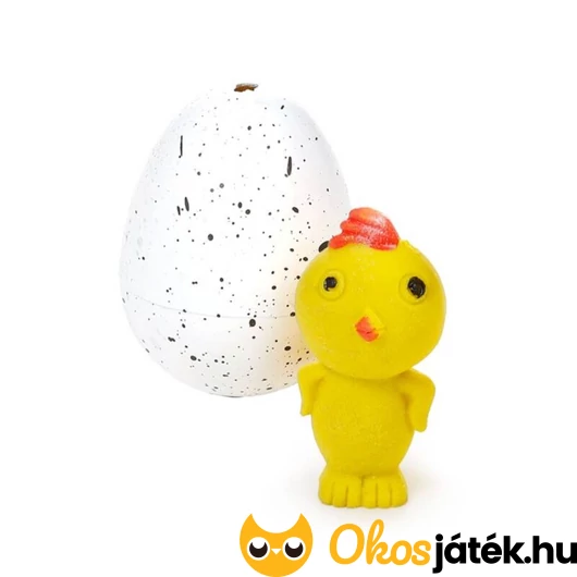 Puckator csibe tojásban