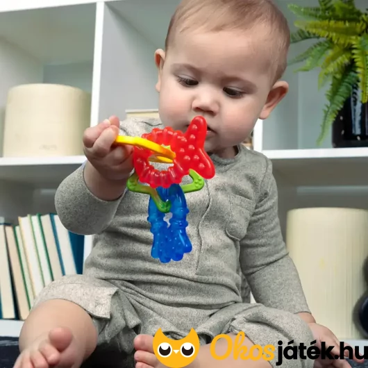 Baby Einstein BPA mentes hűthető rágóka