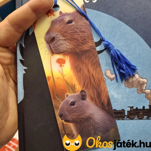 3 dimenziós könyvjelző Kapibara